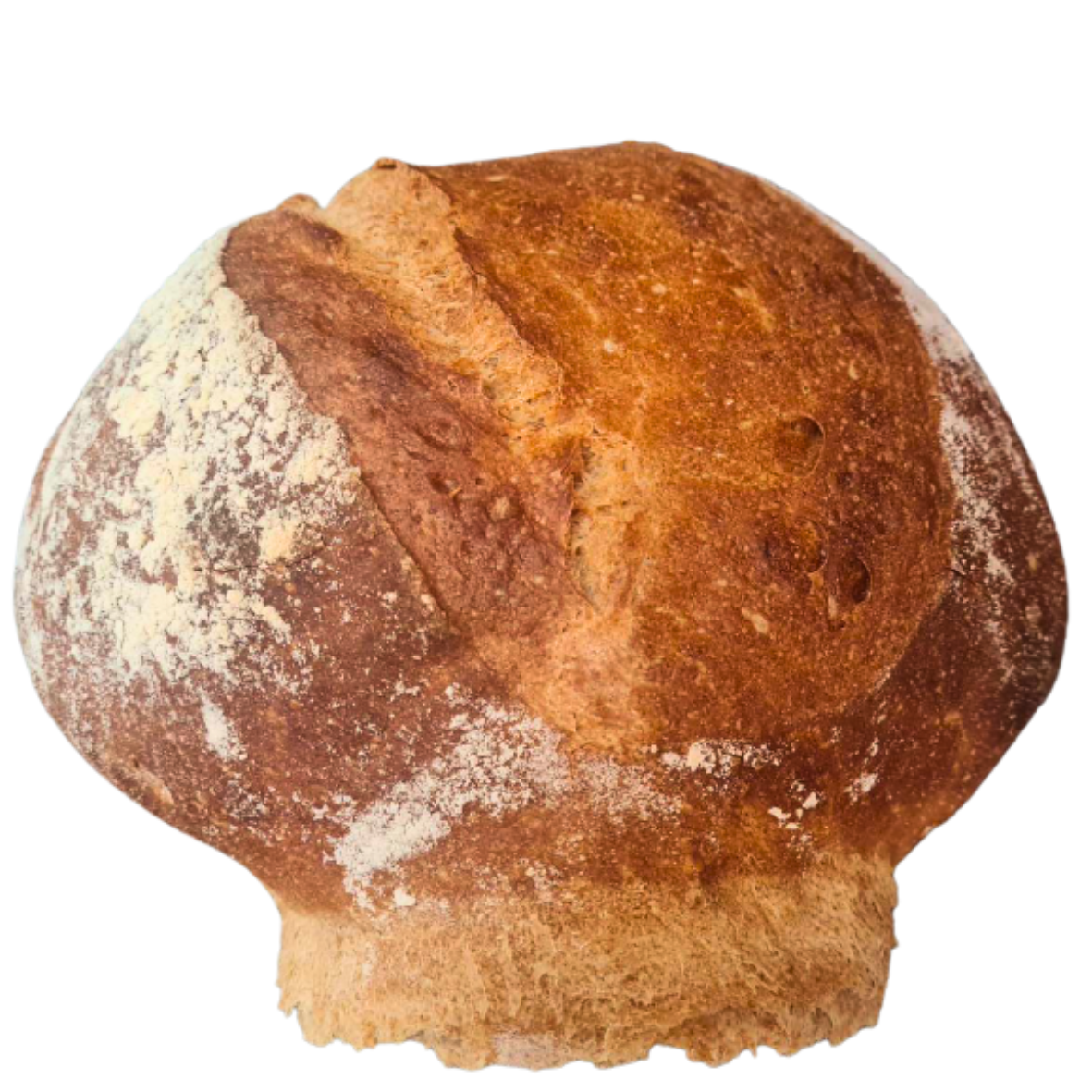 Ihre Wohlfühl-Bäckerei | Kissel Bäckerei GmbH